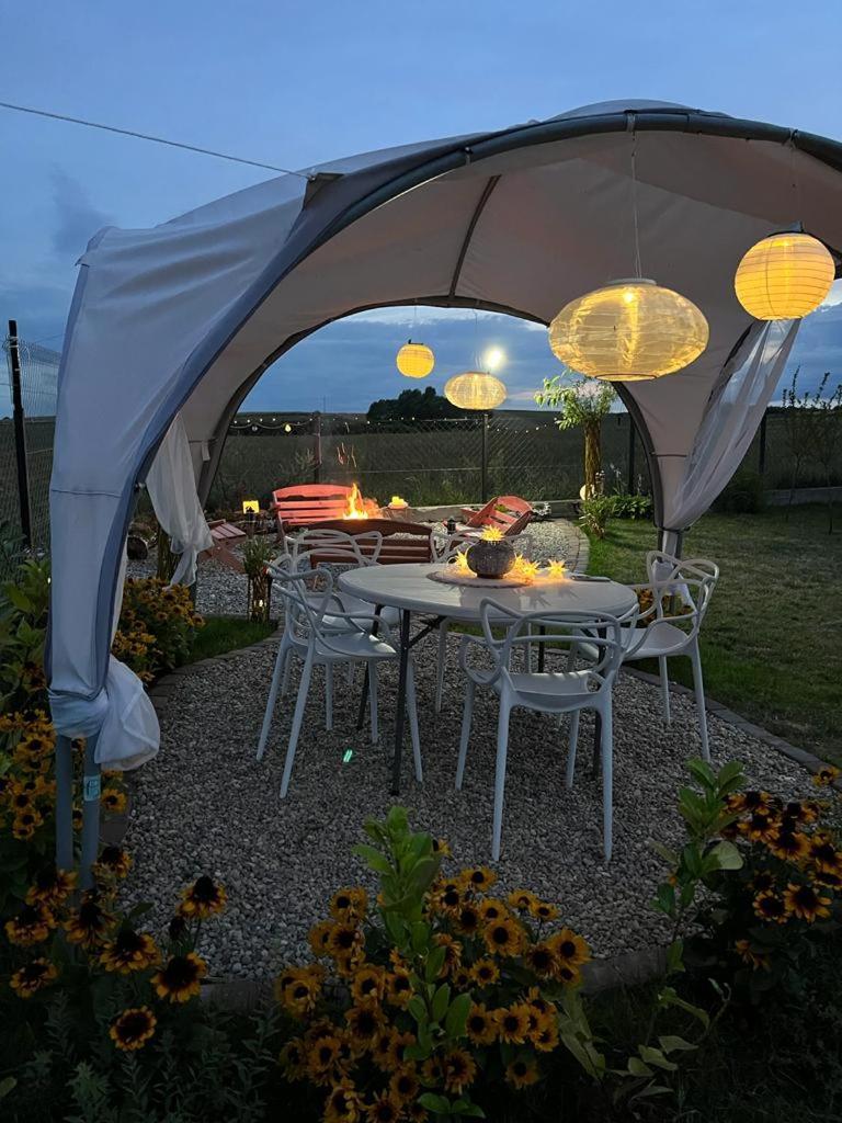 Liwa Garden Krzywa 11 Lejlighed Eksteriør billede